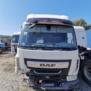 DAF LF 210 FA - 2021