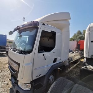 Alternative view of DAF LF 210 FA - 2021