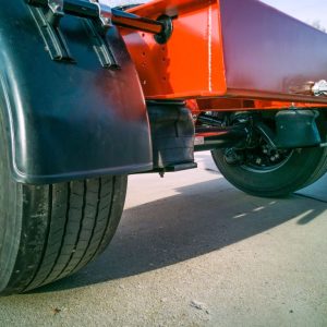 Alternative view of DOLLY - 2024