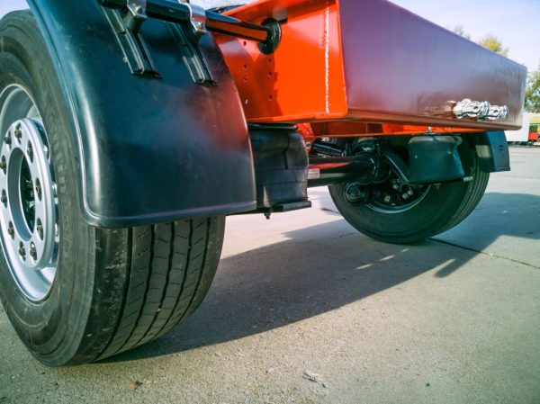 DOLLY - 2024 - Image 2