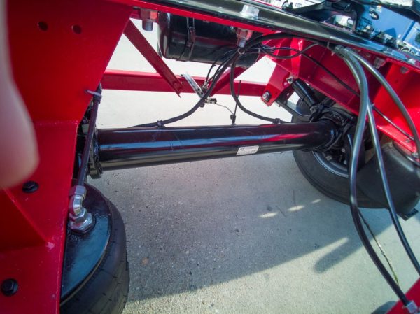 DOLLY - 2024 - Image 3