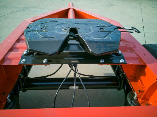 DOLLY - 2024 - Image 4